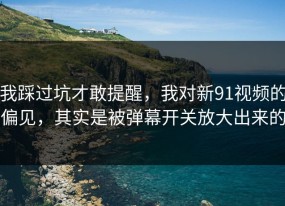 我踩过坑才敢提醒，我对新91视频的偏见，其实是被弹幕开关放大出来的