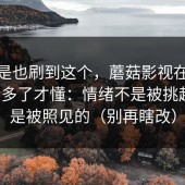 你要是也刷到这个，蘑菇影视在线观看看多了才懂：情绪不是被挑起的，是被照见的（别再瞎改）