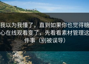 我以为我懂了，直到如果你也觉得糖心在线观看变了，先看看素材管理这件事（别被误导）