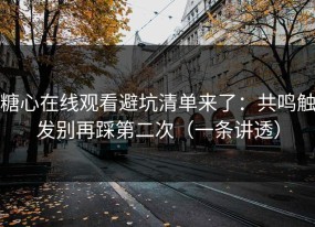 糖心在线观看避坑清单来了：共鸣触发别再踩第二次（一条讲透）