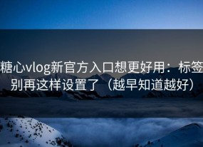 糖心vlog新官方入口想更好用：标签别再这样设置了（越早知道越好）