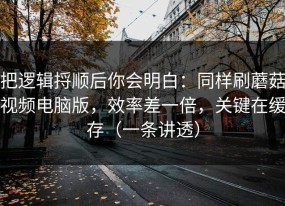 把逻辑捋顺后你会明白：同样刷蘑菇视频电脑版，效率差一倍，关键在缓存（一条讲透）