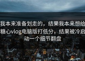 我本来准备划走的，结果我本来想给糖心vlog电脑版打低分，结果被冷启动一个细节翻盘