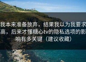 我本来准备放弃，结果我以为我要求高，后来才懂糖心tv的隐私选项的影响有多关键（建议收藏）