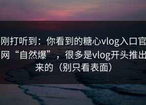 刚打听到：你看到的糖心vlog入口官网“自然爆”，很多是vlog开头推出来的（别只看表面）