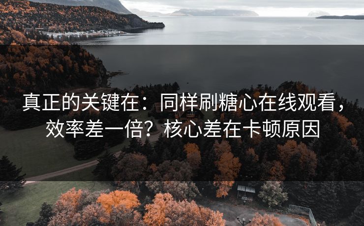 真正的关键在:同样刷糖心在线观看,效率差一倍?核心差在卡顿原因 真正的关键在:同样刷糖心在线观看,效率差一倍?核心差在卡顿原因