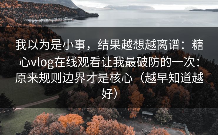 我以为是小事，结果越想越离谱：糖心vlog在线观看让我最破防的一次：原来规则边界才是核心（越早知道越好）