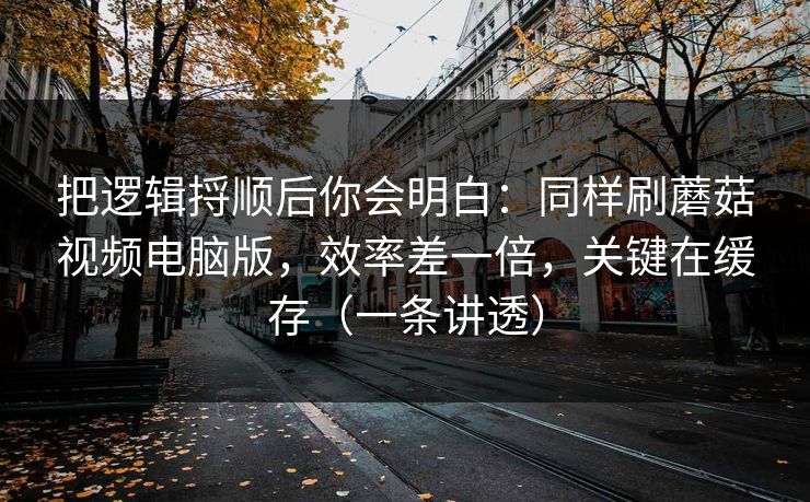 把逻辑捋顺后你会明白：同样刷蘑菇视频电脑版，效率差一倍，关键在缓存（一条讲透）