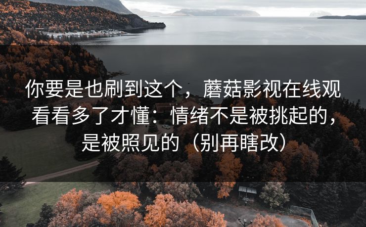 你要是也刷到这个，蘑菇影视在线观看看多了才懂：情绪不是被挑起的，是被照见的（别再瞎改）