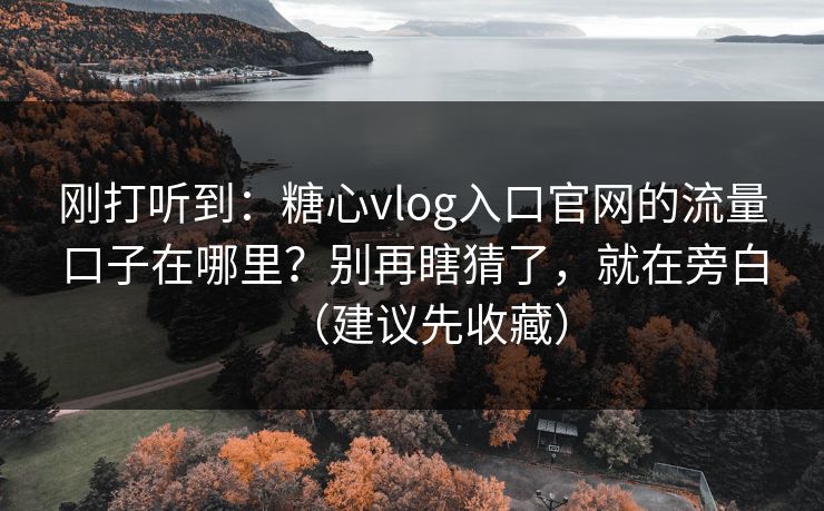 刚打听到：糖心vlog入口官网的流量口子在哪里？别再瞎猜了，就在旁白（建议先收藏）