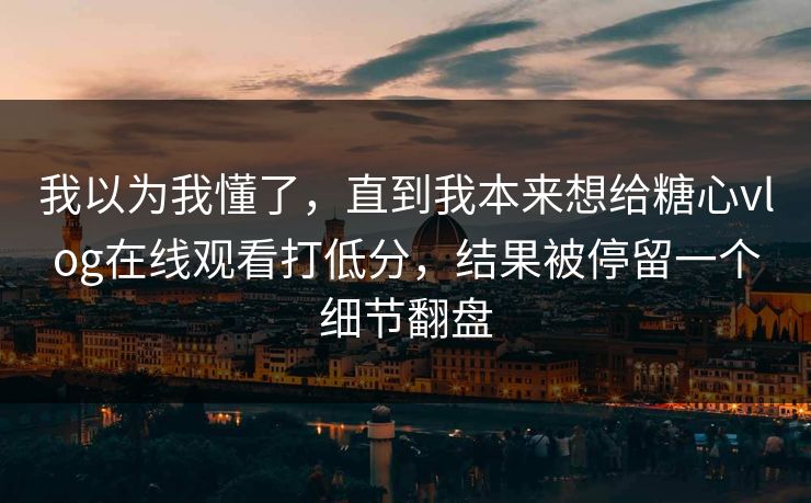 我以为我懂了，直到我本来想给糖心vlog在线观看打低分，结果被停留一个细节翻盘